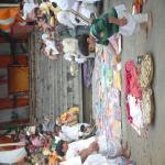 Vraj-Yatra-2014- (1867)